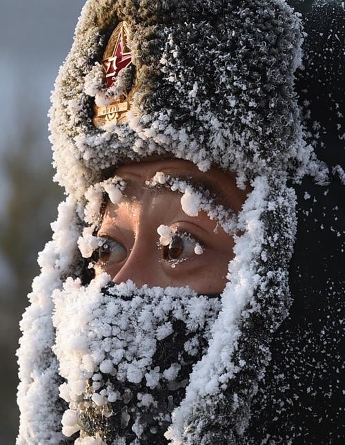 饱经霜雪？饱经霜雪能代表什么生肖？