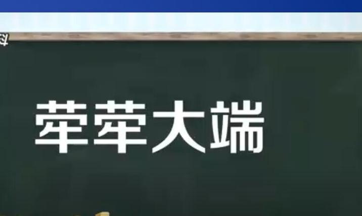 荦荦大端？荦荦大端形容人？