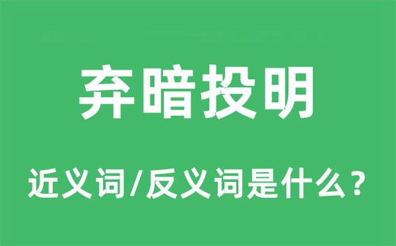 弃暗投明的意思，弃暗投明意思解释