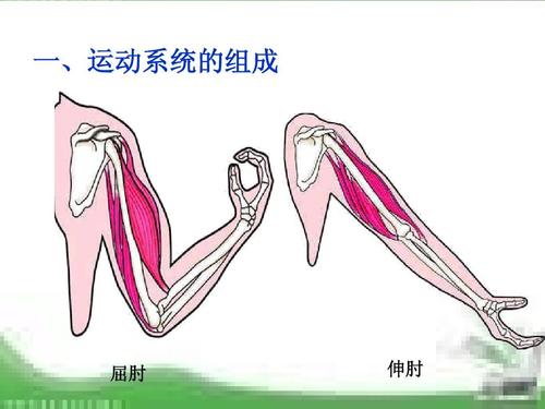 以屈求伸的意思？以屈为伸的意思？