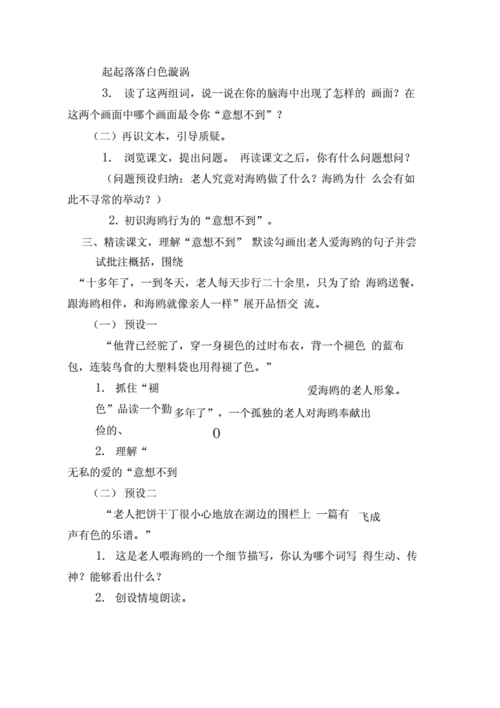 老人与海鸥教案，老人与海鸥教案设计第二课时？