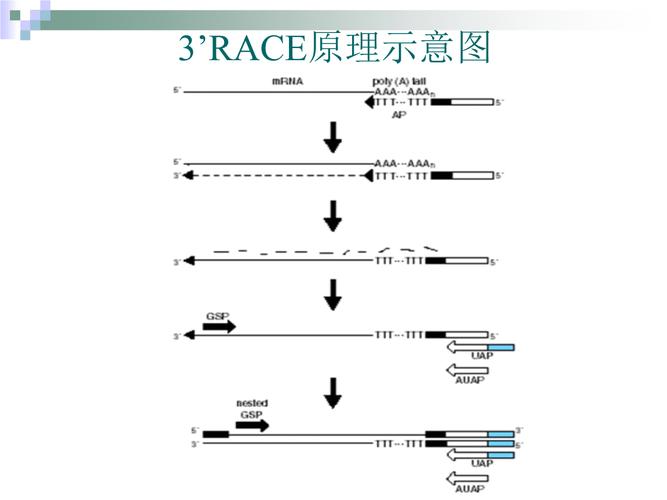 引物连类，引物连类,折之于至理是什么意思！